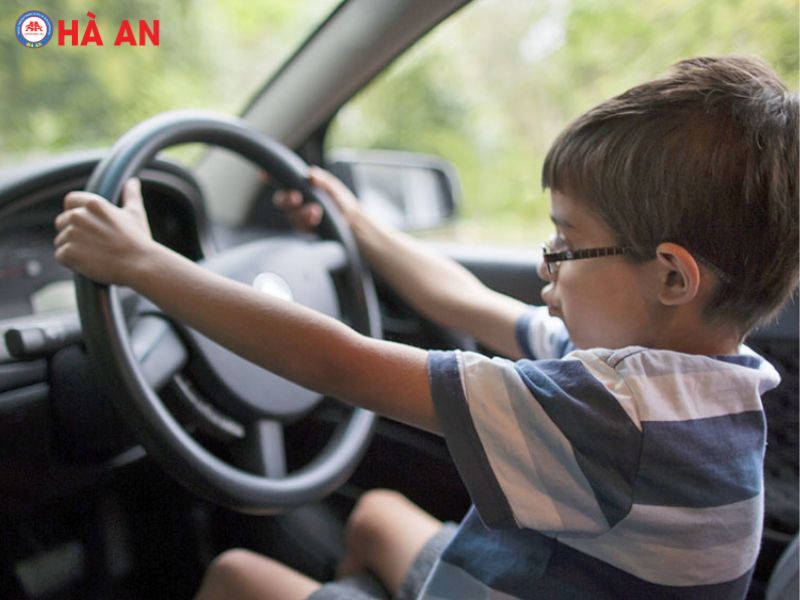 Bao nhiêu tuổi được thi bằng lái xe ô tô – Mức phạt lái xe khi chưa đủ tuổi