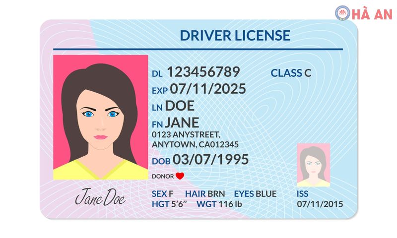 Cập nhật thông tin và hạn sử dụng để đổi giấy phép lái xe cũ