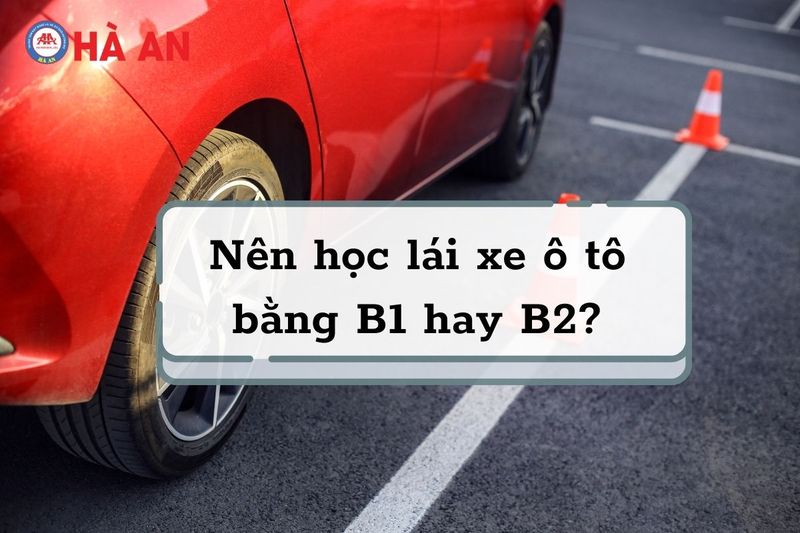 Nên chọn học lái xe ô tô bằng B1 hay B2? 